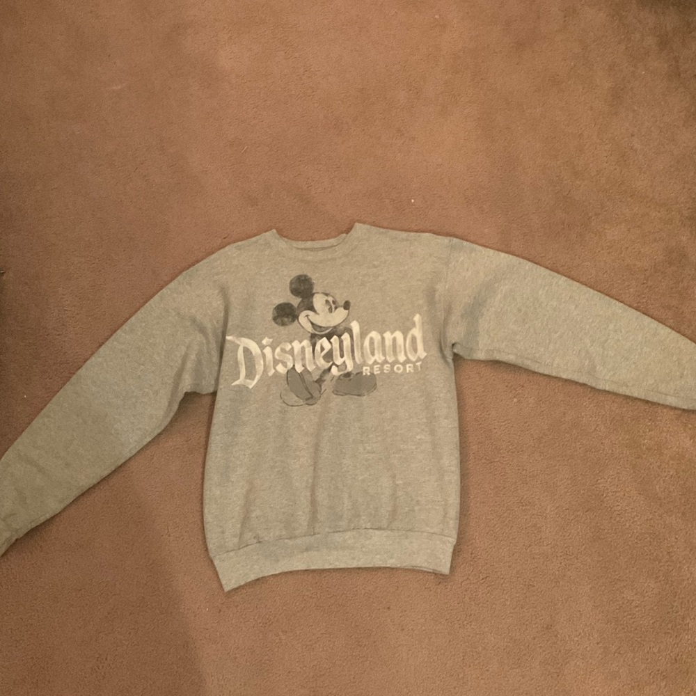 a grey disneyland sweater